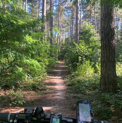Foto genomen door Nico Motton
Mountainbike in Meerdaalwoud