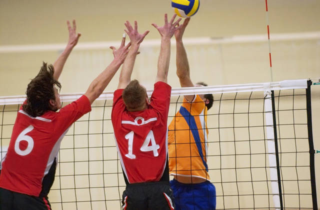 professional volleyball match