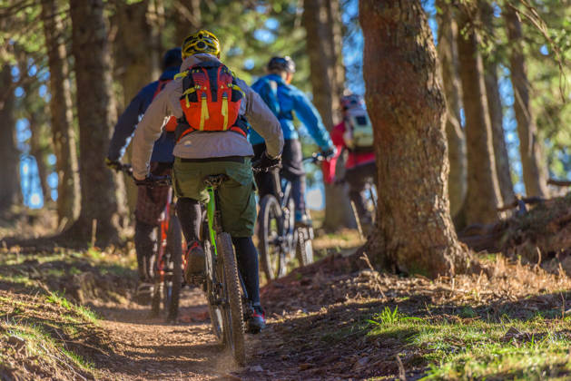 Mountainbiker in bos