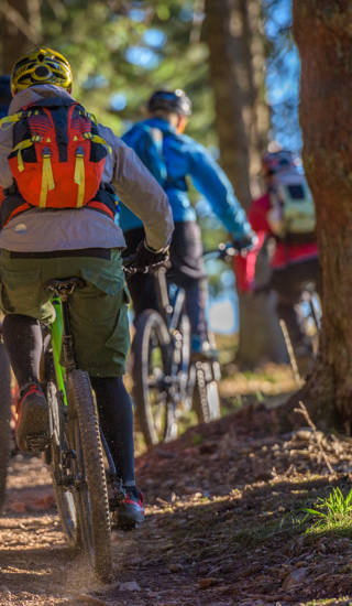 Mountainbiker in bos