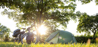 A tent set up next to a bicycle with panniers. Low angle shot with grass in the foreground. Natural background with trees at sunset.