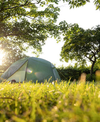 A tent set up next to a bicycle with panniers. Low angle shot with grass in the foreground. Natural background with trees at sunset.