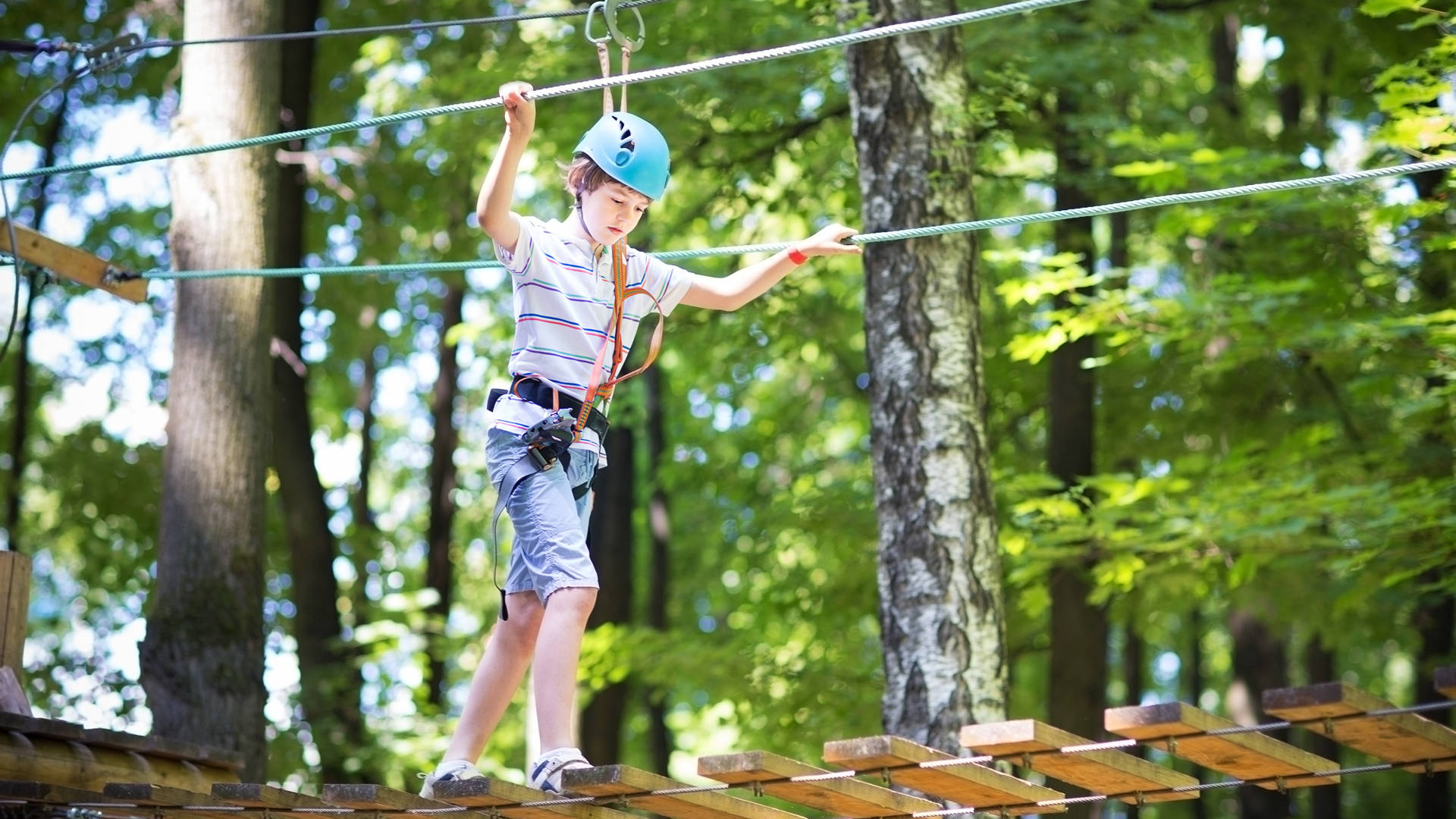 Cute school boy enjoying a sunny day in a climbing activity park