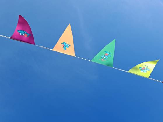 Multimove vlaggenlijn met blauwe lucht