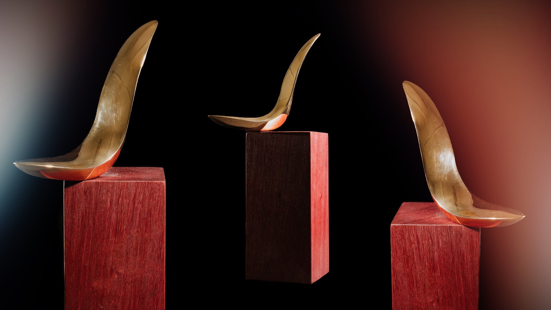 De Vlaamse sportprijzen